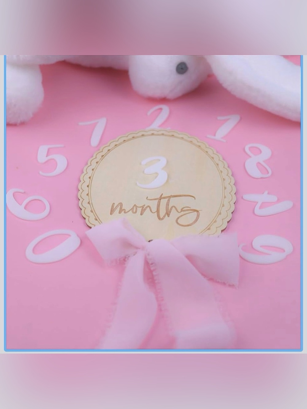 NWT Daisy 3D Baby Monthly Milestone baby wooden sign